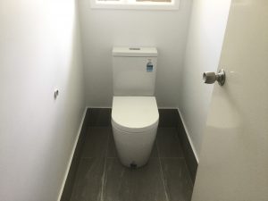 Back to Wall Toilet 4